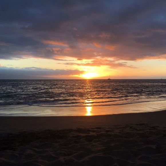 Meet your Posher ☀️🌈 - Picture 1 of 1